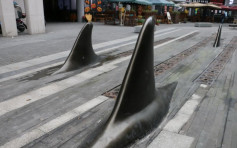 重慶馬路現鯊魚鰭造型隔離欄 路人被嚇壞