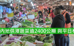 内地供港鲜活食品供应足 菜芯平均批发价每斤7.2元