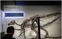 日本確認恐龍新物種 取名日本恐龍之神