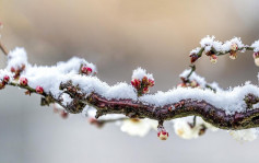 大寒｜內地寒潮南下 明起多地或開啟「暴雪模式」