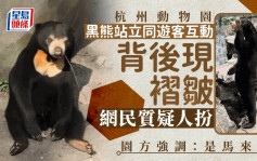 杭州動物園黑熊被質疑人扮 園方強調：是馬來熊 