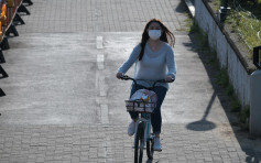 3區空氣污染達高至甚高 環保署促減外出