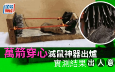 Juicy叮｜网民自制「万箭穿心」灭鼠神器 惊人实测结果曝光