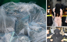 海关元朗反毒品行动检1200万元大麻 两男女被捕