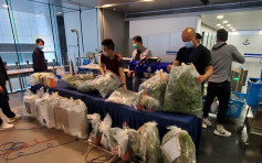 警大屿山拘2男涉种大麻 检1400万元毒品及培植工具