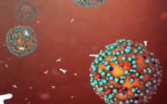 医疗动画详解病毒「攻击」人体经过 肺泡充满液体难呼吸