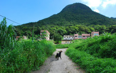 发展局指定两「受规管地区」  保护梅子林及大屿山南岸自然生态