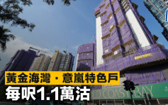 黃金海灣．意嵐特色戶 每呎1.1萬沽