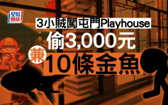 3小贼闯屯门Playhouse 偷10条金鱼及3000元被捕