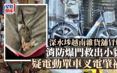 深水埗越南杂货铺冒烟 消防爆门救出小猫 疑电动单车叉电肇祸