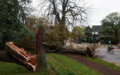 風暴夏蘭襲西歐強風破紀錄  至少7死法國120萬戶一度停電