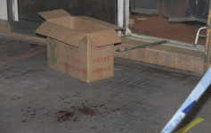西贡厨工遭三煞斩伤浴血 一人图烧车灭证被捕