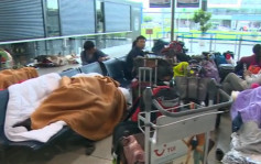 俄维姆航空破产停飞 近千中国客滞留莫斯科及比利时