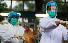 湖北武汉确诊1宗H7N9病例　 患者病情危重