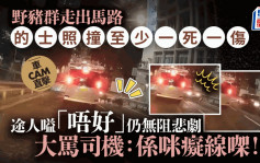 車cam直擊｜香港仔野豬家族捱的士撞 至少一死一傷 途人大叫：係咪癡線㗎