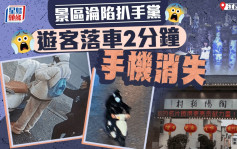 景德鎮遊客落車2分鐘遭「閃電手」偷手機 警方抓獲2名團夥成員
