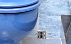 U型儲水管未注夠水可播毒 廁所八大預防衛生措施