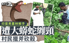 印度男解手遭蟒蛇缠颈  村民擸斧无情砍杀｜有片