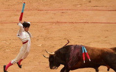 西班牙奔牛节落幕 共八人被牛角刺伤