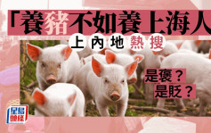 「養豬不如養上海人」傳遍旅遊圈 是褒？是貶？