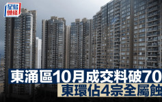 东涌区10月成交料破70宗 创7个月新高 东环占4宗全属蚀让