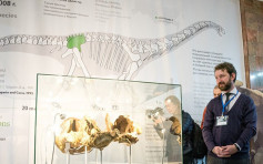 俄发现新恐龙品种 身长12米重10吨