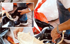 猫咪被塞入布袋弃垃圾桶 清洁工闻微弱叫声及时救回一命