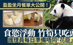 港产大熊猫︱「陪月」护理员公开盈盈坐月餐单 开学日「细孖」无眼睇