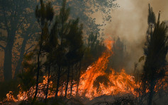 法国热浪高温创纪录 山火肆虐动物园急撤动物