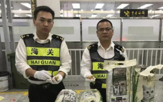 琥珀原石扮猫粮 外籍旅客经港入境深圳被捕
