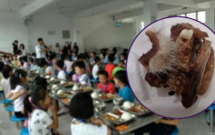 湖南小学饭堂加餸「老鼠头」？ 校方称白毛异物是兔头