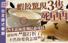 台北港式餐廳蝦餃驚現3隻曱甴屍 西米露仲送埋昆蟲殘肢