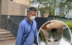 男售貨員偷走「可樂貓」自辯不熟香港法律 判罰$2000