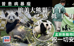 大熊猫「丫丫」已抵上海 孟菲斯动物园祝福一切安好