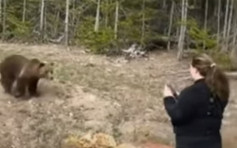 黄石国家公园女游客走近野生灰熊拍照遭控 判囚4天