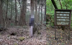 葵芳谋杀案｜日本山梨县青木原树林被称为「自杀森林」 当局竖警告牌吁珍惜生命