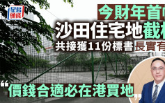 今財年首幅沙田「蚊型」住宅地截標 共接獲11份標書 長實有份「價錢合適必在港買地」