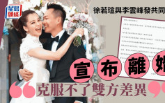 徐若瑄离婚丨徐若瑄与李云峰发共同声明宣布离婚：克服不了双方差异