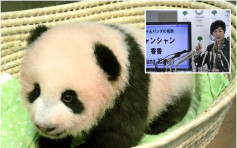 東京上野動物園熊貓寶寶 取名「香香」