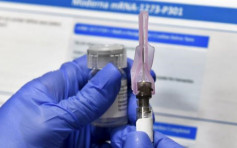 首批24.9萬劑輝瑞疫苗 月底前運抵加拿大  