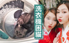 洗衣机困猫｜港姐黄嘉雯胞姐涉虐猫 称警员搜证过程涉威吓