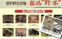 广州官方辟谣 ：「蛇，真的别吃！」　但媒体发现有餐馆明目张胆卖