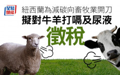 纽西兰为减碳向畜牧业开刀 拟对牛羊打嗝及尿液徵税 