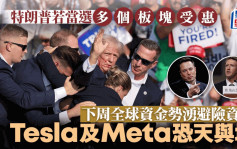 特朗普若當選多個板塊受惠 本周全球資金勢湧避險資產  Tesla及Meta恐天與地