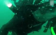 氧氣樽突故障 澳洲潛水男分氧氣救拍檔