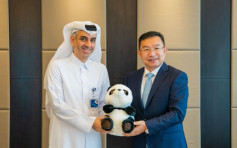 中国将运送2只大猫熊到卡塔尔　庆祝世界杯足球赛开锣