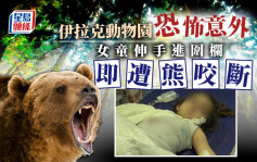 伊動物園爆恐怖意外 女童伸手進圍欄即遭熊咬斷