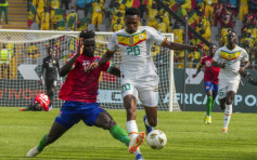 非洲杯C组｜塞内加尔喀麦隆往绩交投淡静 敲波胆1:0