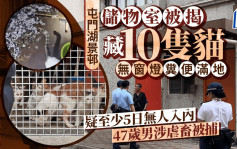 屯門湖景邨儲物室藏10貓傳惡臭 警拘47歲男貓主涉虐畜 街坊批房署縱容不管