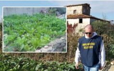 華人農場引進「不明蔬菜」 意大利當局勒令關閉